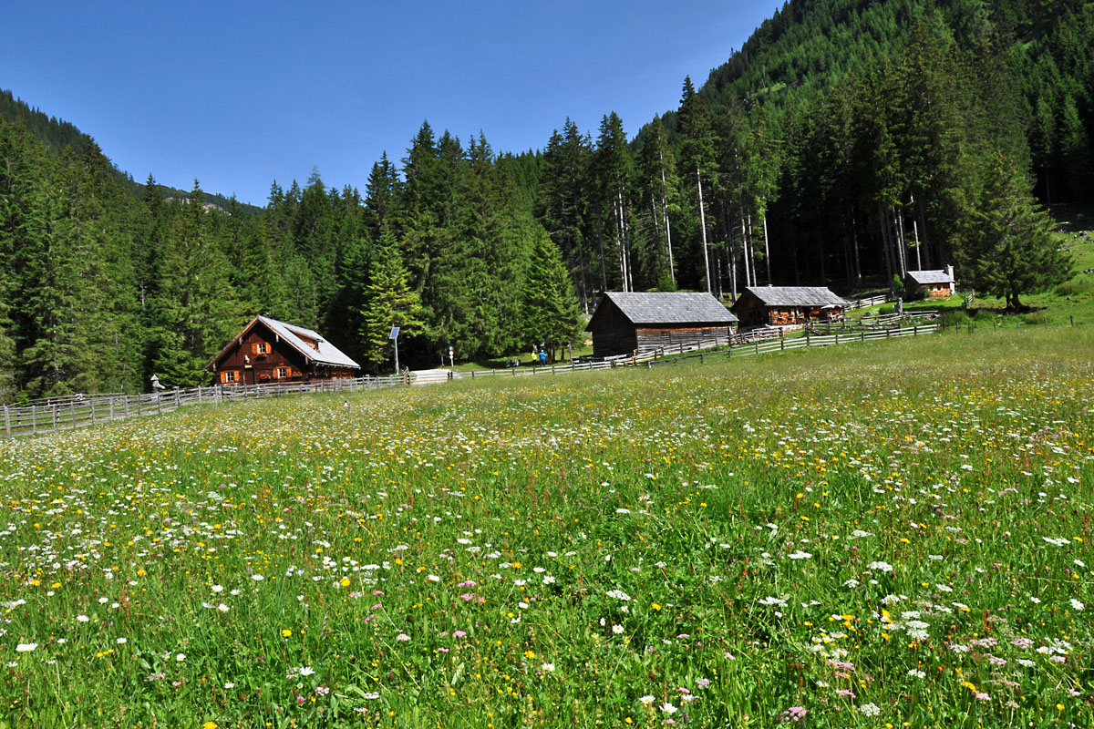 Almhütten Weißpriachtal