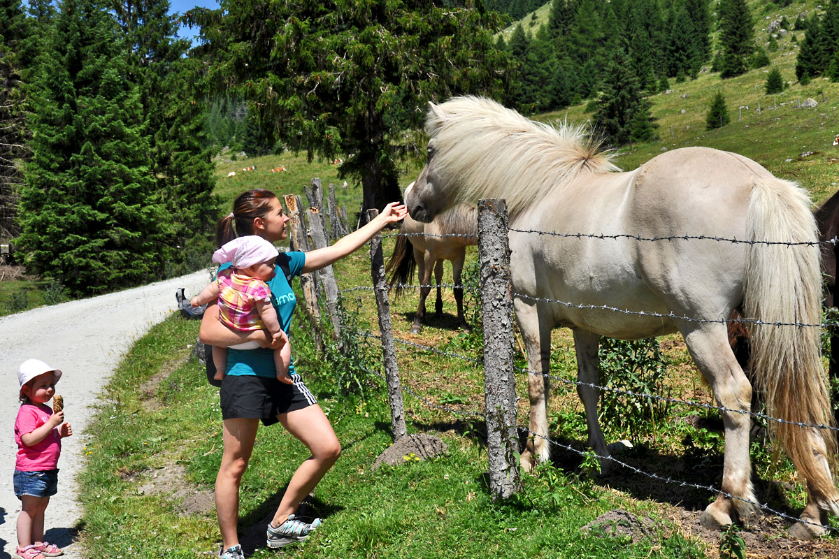 Familienurlaub - Sommer Wandern Weißpriach Lungau