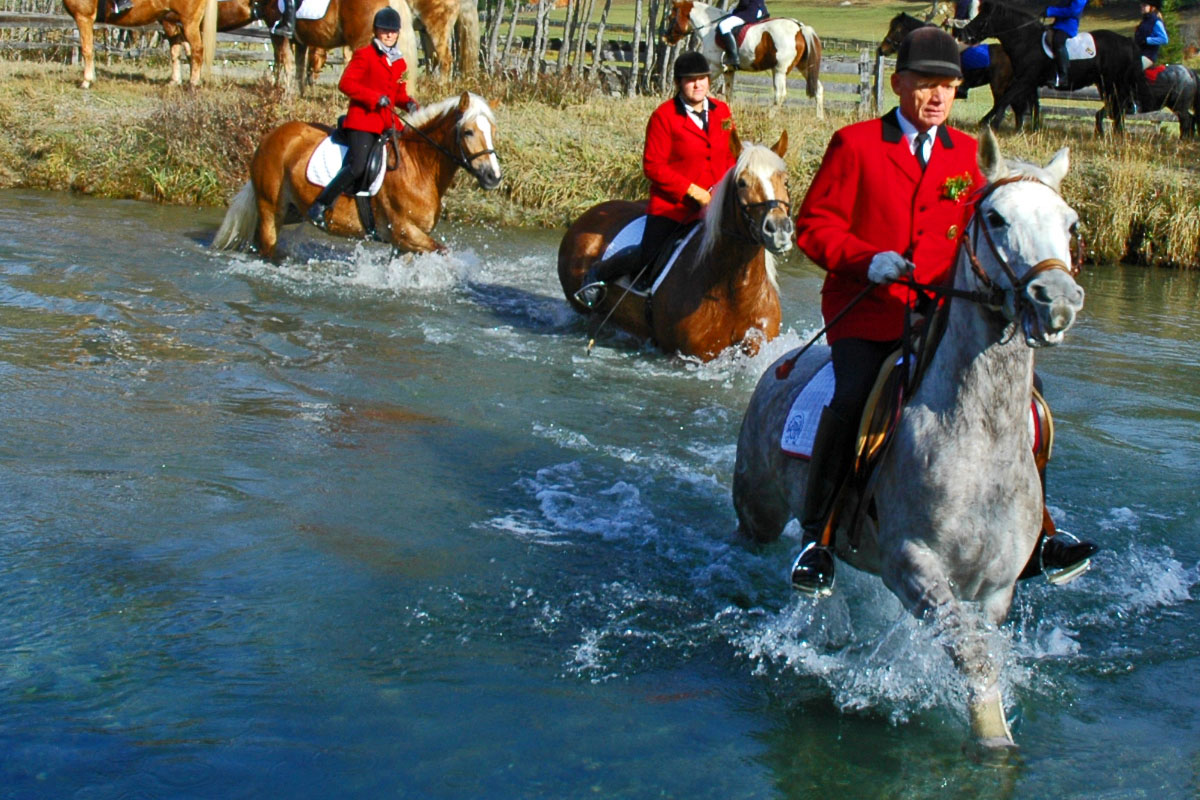 Reiten Lungau Sommer